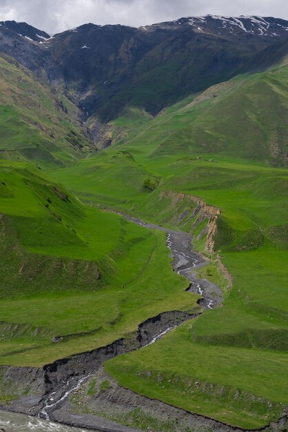 Foto berge mit grünem gras