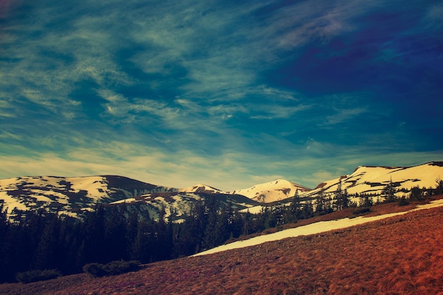 Berge mit Schnee