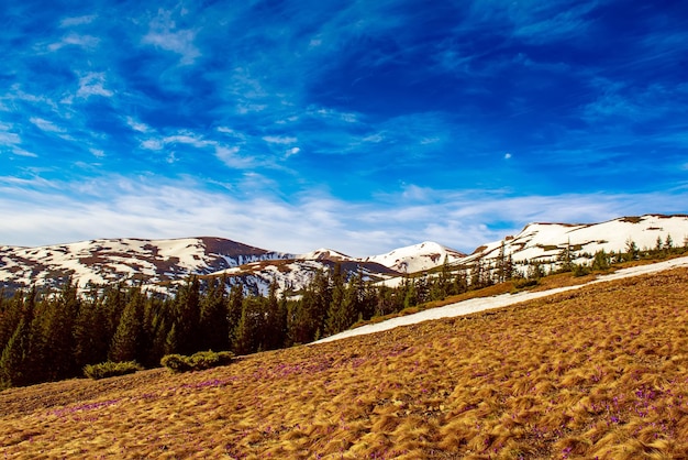 Berge mit Schnee