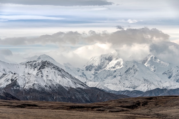 Berge mit Schneespitzenlandschaft am Denali Nationalpark, Alaska