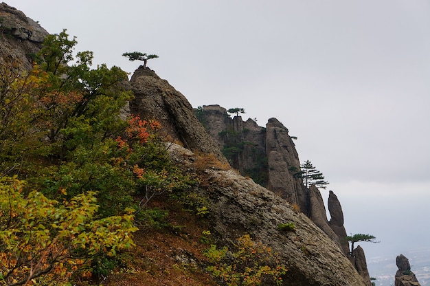 Berge mit Wald am Herbsttag, Krim