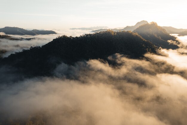 Berge und Morgennebel im tropischen Winterwald