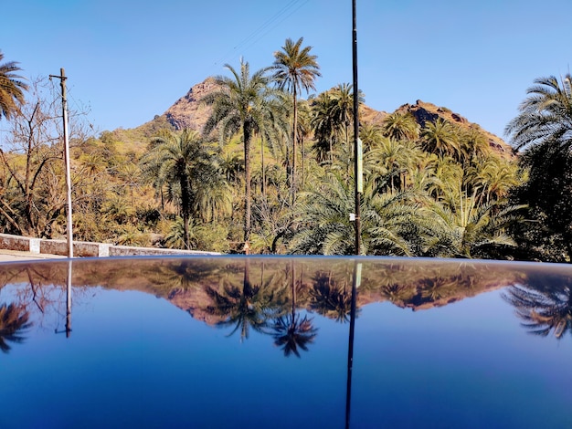 Berge und Palmen Reflexion über die Baleno Motorhaube Mount Abu Road Gujarat India