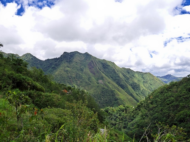 Berge und Täler in Banaue, Philippinen