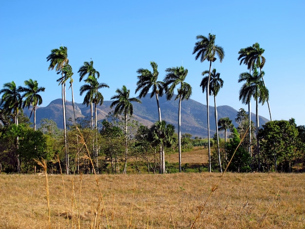 Berge und Täler in Trinidad, Kuba