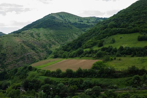 Berge und Wälder Armeniens