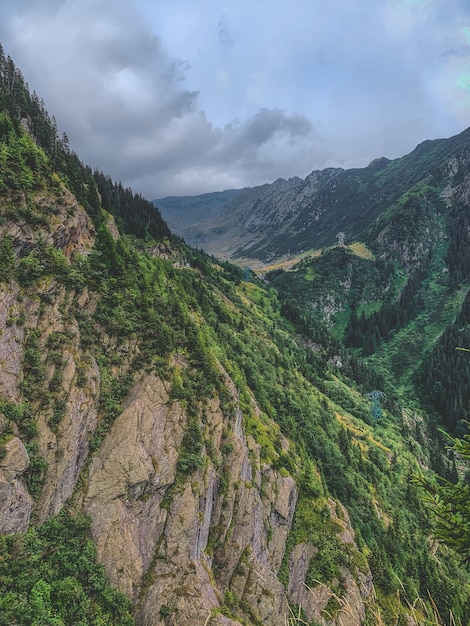 Berge und Wälder von Transfagarasan, Siebenbürgen, Rumänien