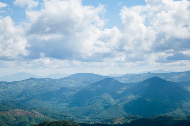 Berge und Wälder