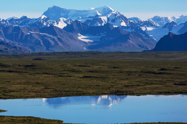 Berge von Alaska im Sommer