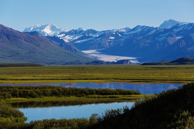 Berge von Alaska im Sommer