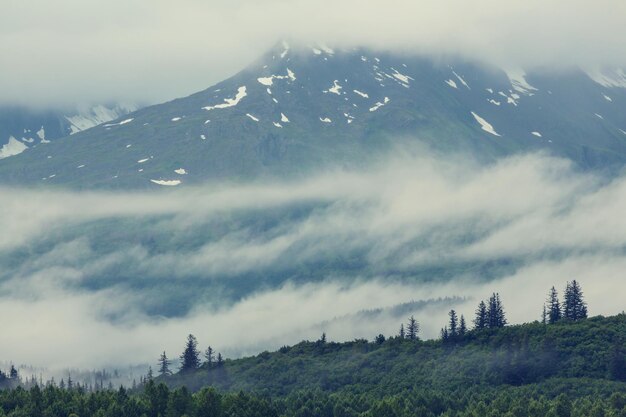 Berge von Alaska im Sommer