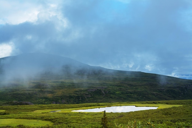 Berge von Alaska im Sommer