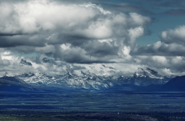 Berge von Alaska im Sommer