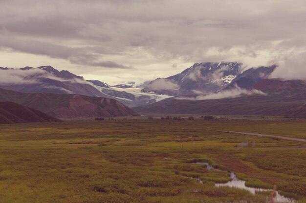 Berge von Alaska im Sommer