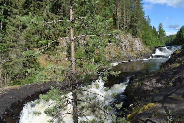 Bergfluss im Nationalreservat Klarer Fluss zwischen Steinen und Bergen im Park im Wald