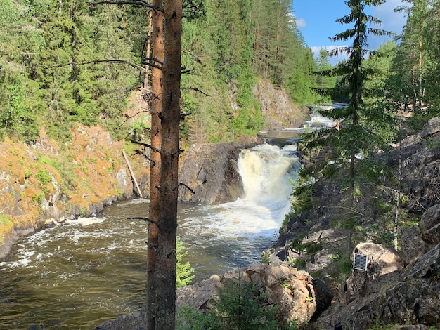 Bergfluss im Nationalreservat Klarer Fluss zwischen Steinen und Bergen in einem Park im Wald