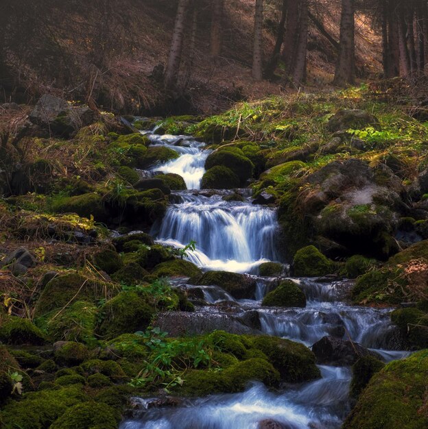 Bergfluss mit blauem Wasser in einem nebligen Bergwald im Spätherbst