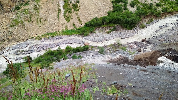 Bergfluss mündet in die Schlucht