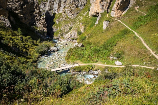 Bergfluss und Holzbrücke in den französischen Alpen des Nationalparktals Vanoise