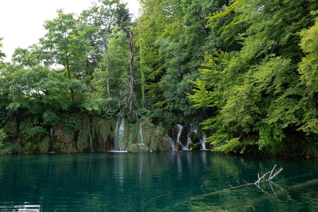 Bergfluss Wasserfall türkis klares Wasser Ökologie