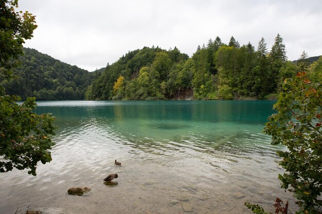 Foto bergfluss wasserfall türkis klares wasser ökologie