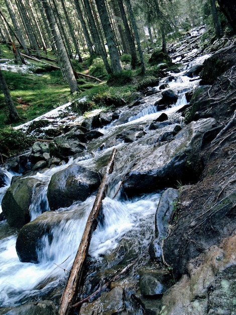 Bergflusslandschaft mit Felsen und Steinen