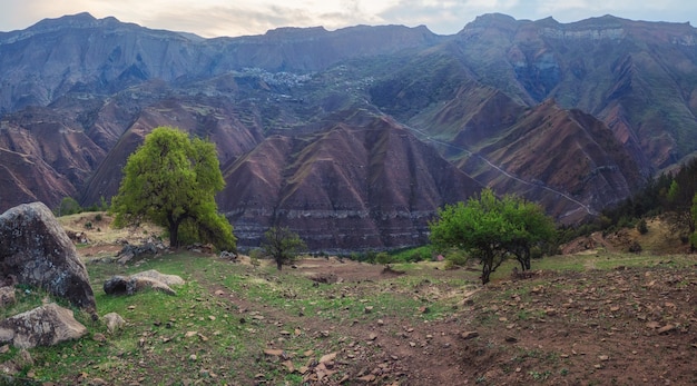 Berggelände im Morgengrauen. Hohe Berge, eine komplexe Berglandschaft, grüne, mit Vegetation bedeckte Hänge. Dagestan. Panoramablick.