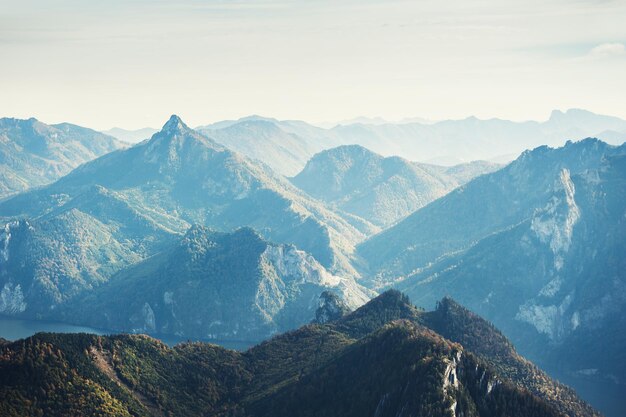 Berggipfel am nebligen Morgen. Österreichische Alpen