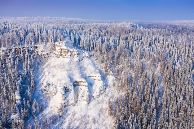 Berghang mit Schneebäumen