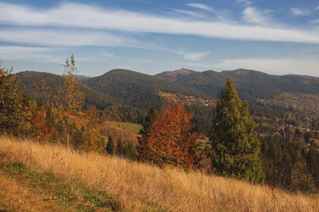 Bergherbstlandschaft mit buntem Wald