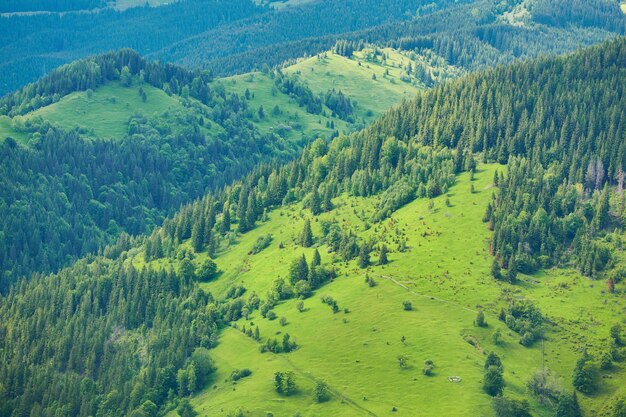 Bergige Landschaft mit bewaldeten Hügeln schöner Sommer