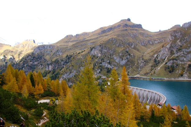 Bergige Landschaft Wandern durch einen bewaldeten Berg mit gelben Bäumen und Schnee im Hintergrund Bewölkter Tag