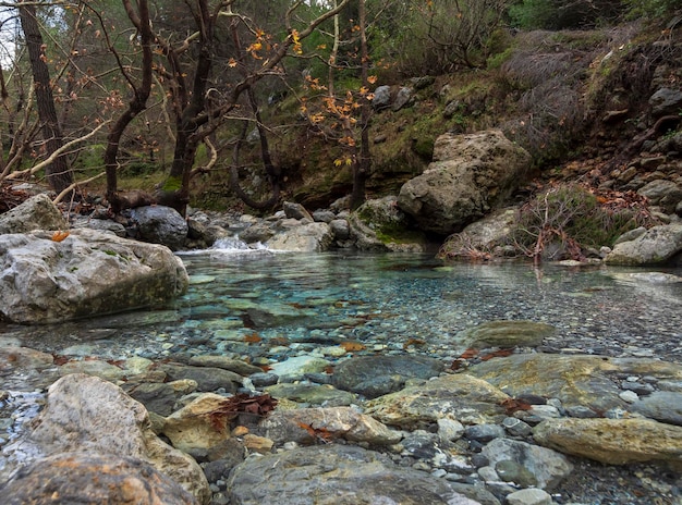Bergiger schneller Fluss mit klarem Wasser und Platanen in Dirfys auf der Insel Euböa Griechenland