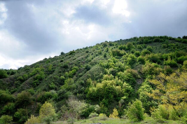 Bergketten und Hügel bedeckt mit Wald, Büschen und Pflanzen. Himmel mit grauen Gewitterwolken im Hintergrund