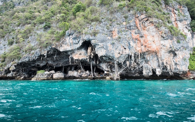 Bergklippenkalk der Schwalbennestkonzessionsinsel bei Phi Phi