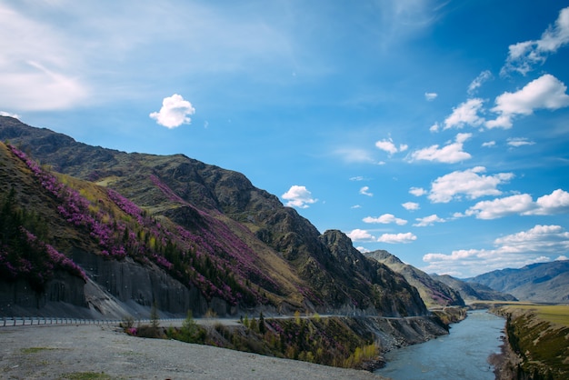 Berglandschaft an einem klaren Tag in der Nähe eines Flusses