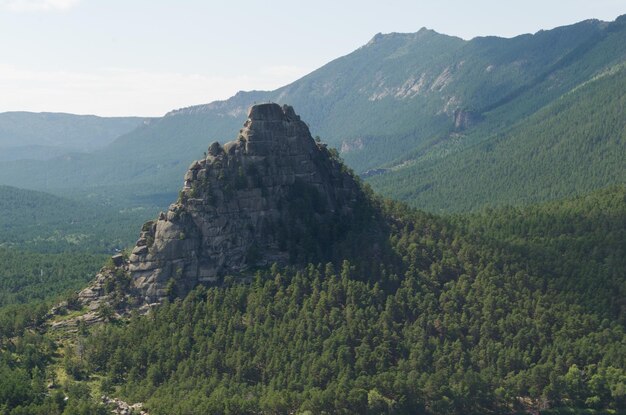 Berglandschaft bedeckt mit grünem Nadelwaldsommer