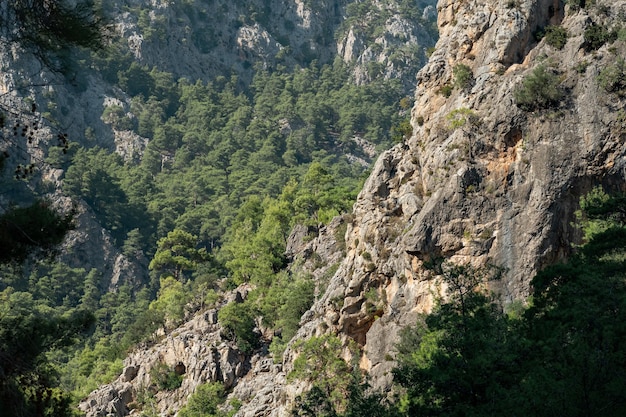 Berglandschaft, bewaldete Kalksteinfelsen der Stierkette