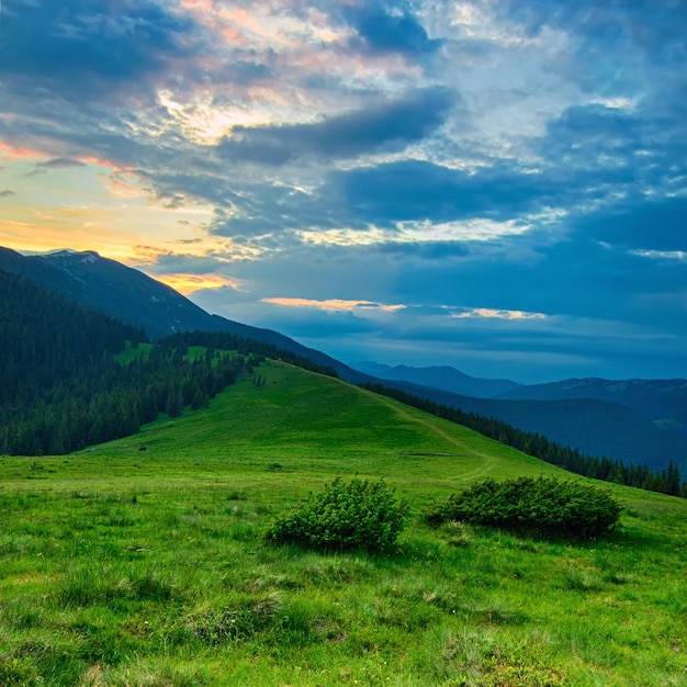 Berglandschaft der Karpaten