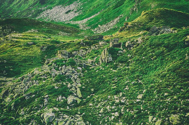 Berglandschaft der Karpaten