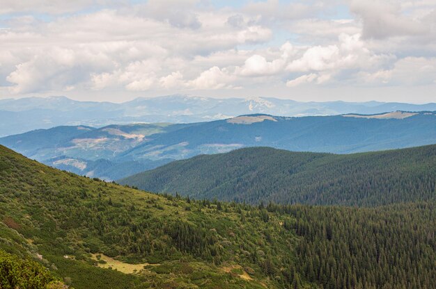 Berglandschaft ein volumetrischer Raum Karpaten mit Wald bedeckt