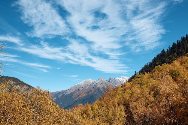 Berglandschaft, Herbstwald, blauer Himmel und Berggipfel im Hintergrund in der Ferne, Nadelwald in den Bergen