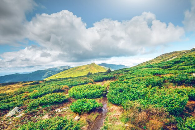 Berglandschaft im Sommer