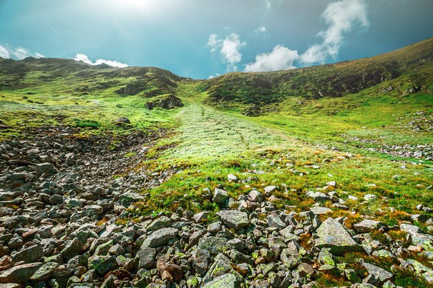 Berglandschaft im Sommer