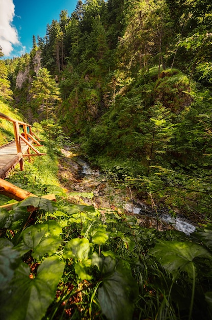 Berglandschaft in den Bergen Juranova dolina Tal im Nationalpark Westliche Tatra Slowakei Oravice Orava-Region