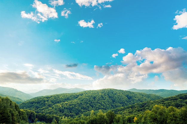 Berglandschaft, Kieferwald