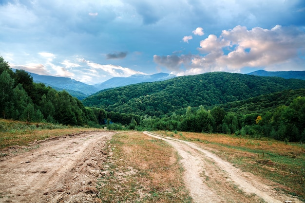 Berglandschaft, Kieferwald