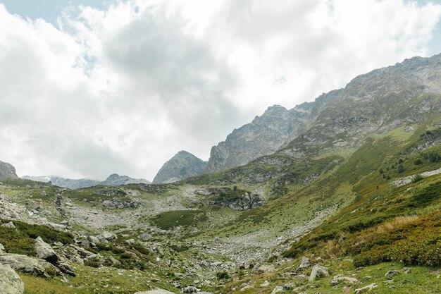 Berglandschaft. Landschaft mit Bergen, Wald und Fluss vor. schöne Landschaft