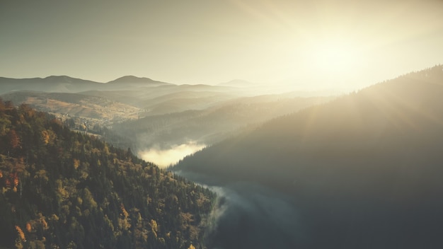 Berglandschaft Landschaft niedrigen Nebel Luftbild steile felsige Schlucht Kiefernwald Hang Übersicht wild