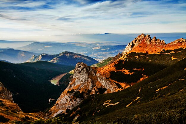 Berglandschaft mit Baumwald